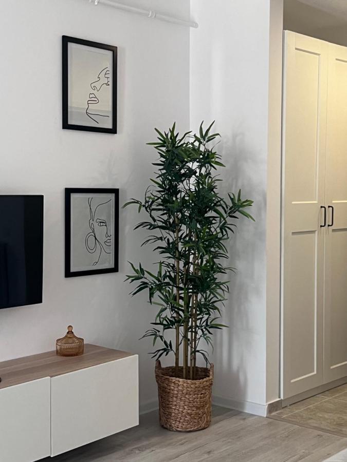 Amena Residence Chiajna Exterior photo
